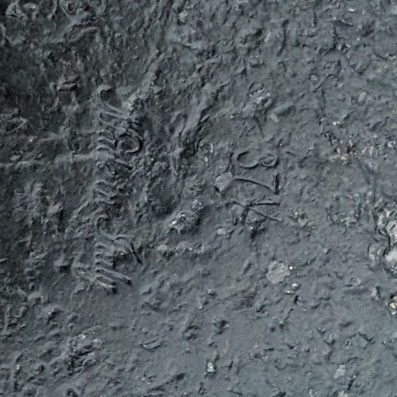 Louis Vuitton Bom Dia Flat Mule - Picture 3 of 3